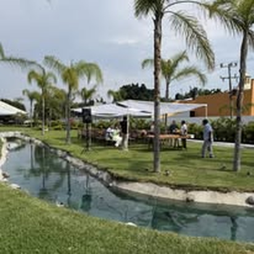 Vista del jardín y espejo de agua